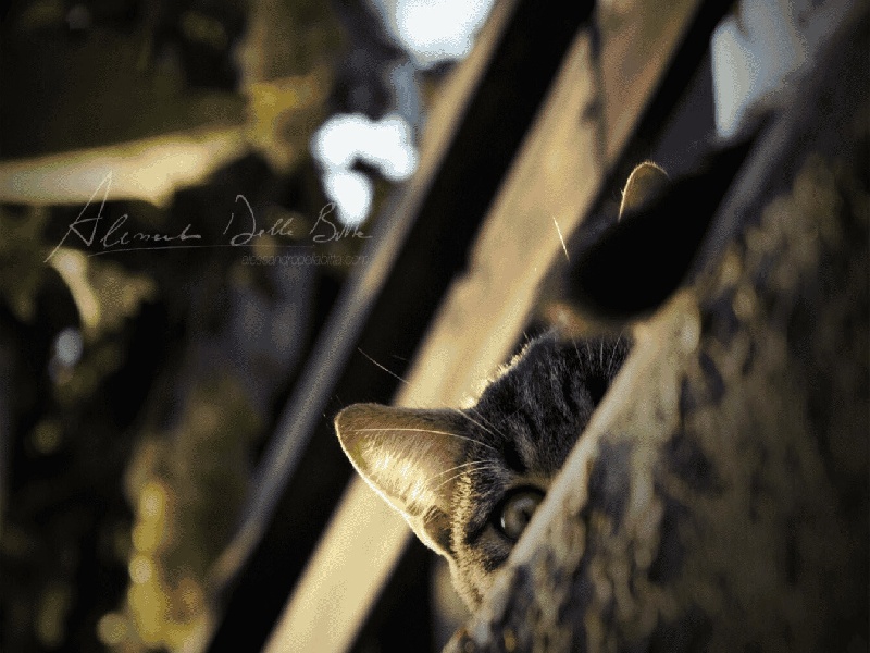 太原试管做几代好,2024年太原香港 辅助生殖费用（试管宫缩针）